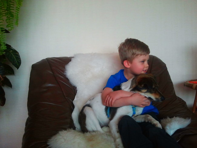 Mój przyjaciel pies - fotozabawa