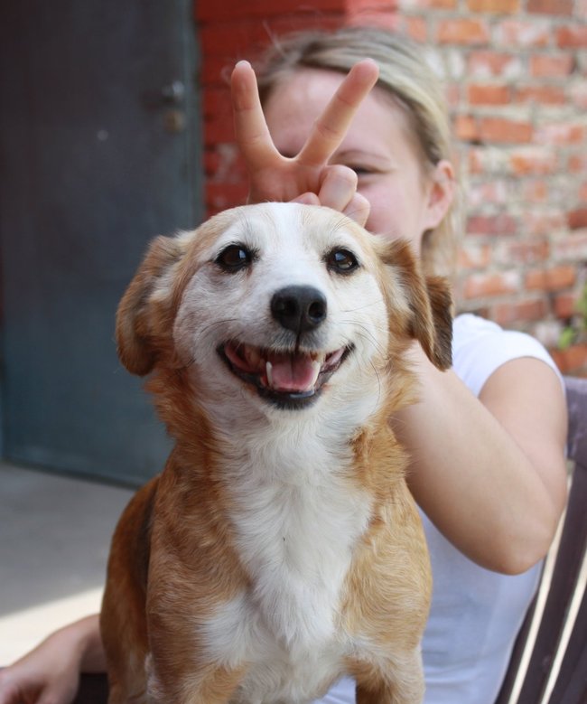 Mój przyjaciel pies - fotozabawa