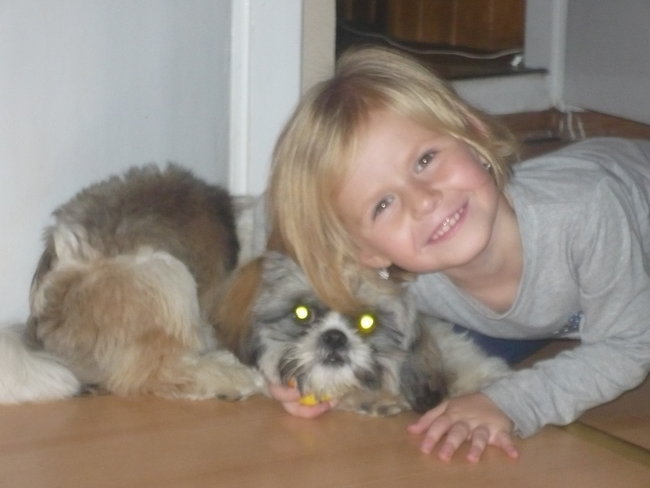 Mój przyjaciel pies - fotozabawa