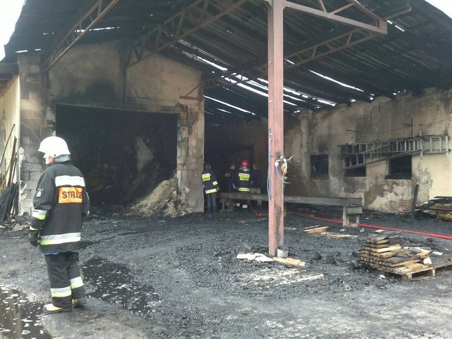 Spalił się tartak w Pępowie - zdjęcia/film