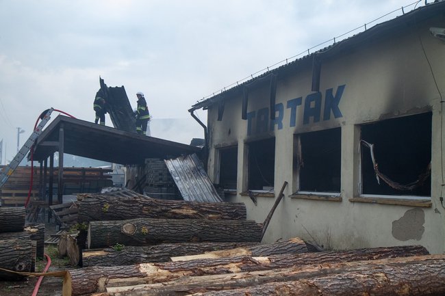Spalił się tartak w Pępowie - zdjęcia/film