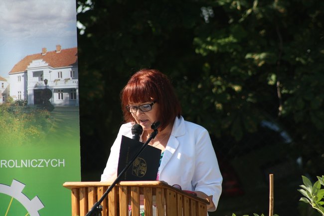 Czas na wakacje! - zdjęcia