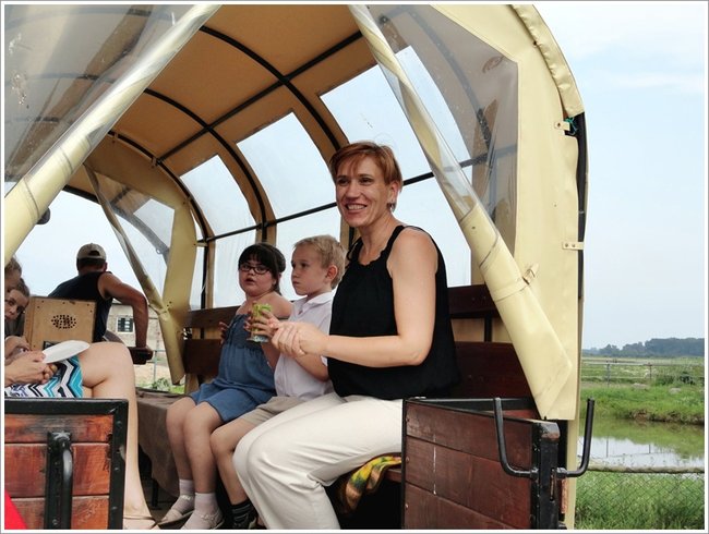 Pożegnanie w zagrodzie - zdjęcia