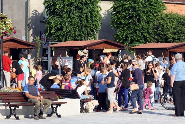 Rynek pełen czworonogów - zdjęcia