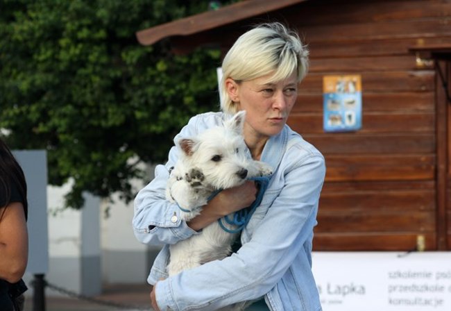 Rynek pełen czworonogów - zdjęcia