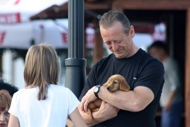 Rynek pełen czworonogów - zdjęcia