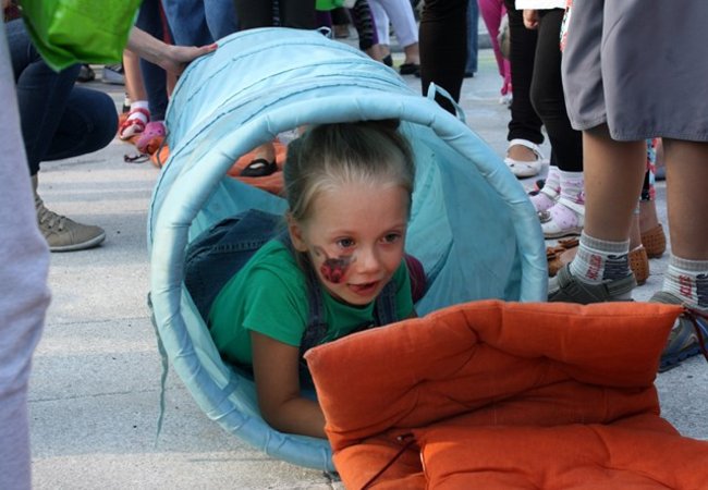 Rynek pełen czworonogów - zdjęcia