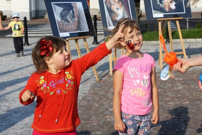 Rynek pełen czworonogów - zdjęcia