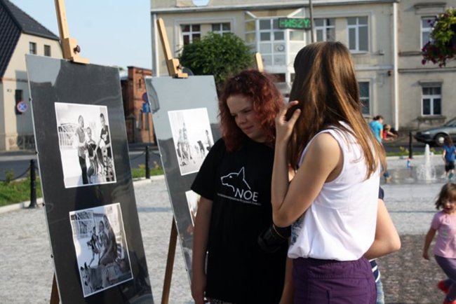 Rynek pełen czworonogów - zdjęcia