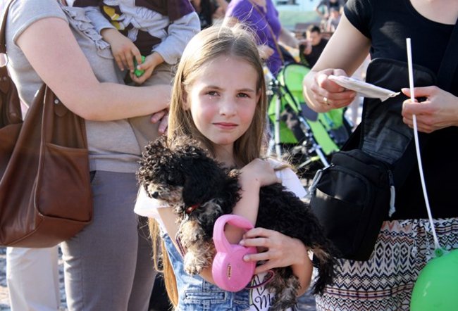 Rynek pełen czworonogów - zdjęcia