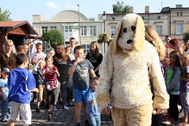 Rynek pełen czworonogów - zdjęcia