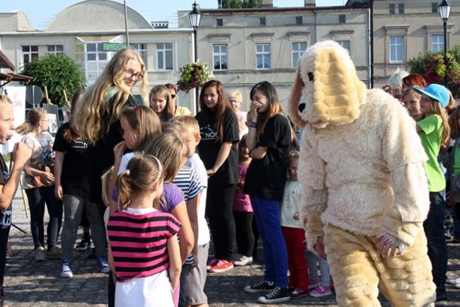 Rynek pełen czworonogów - zdjęcia