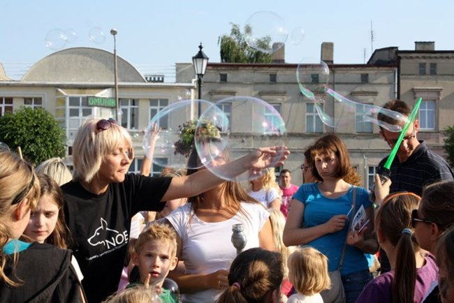 Rynek pełen czworonogów - zdjęcia
