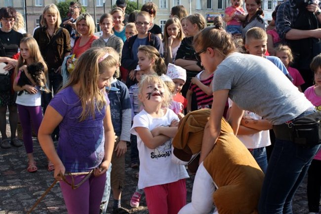 Rynek pełen czworonogów - zdjęcia