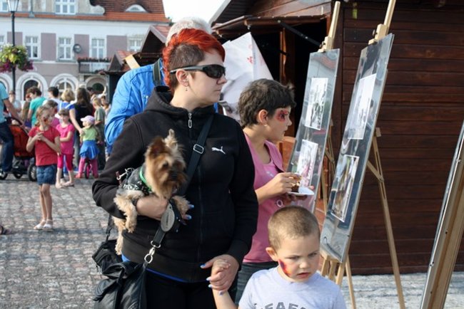 Rynek pełen czworonogów - zdjęcia