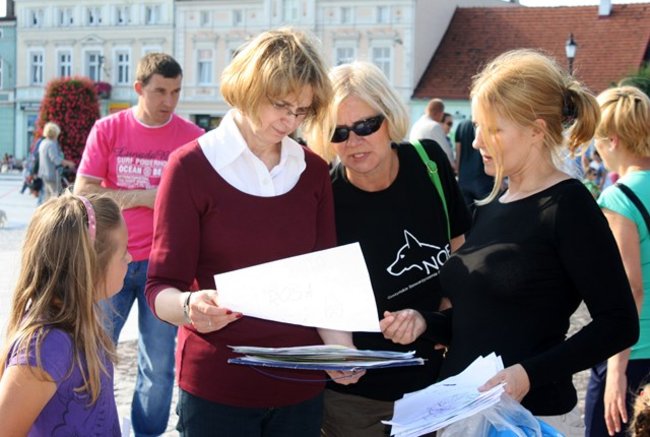 Rynek pełen czworonogów - zdjęcia