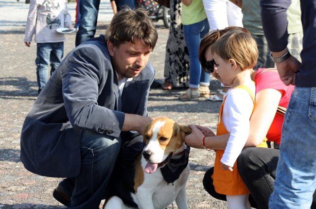 Rynek pełen czworonogów - zdjęcia