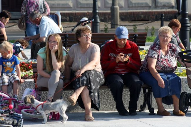 Rynek pełen czworonogów - zdjęcia