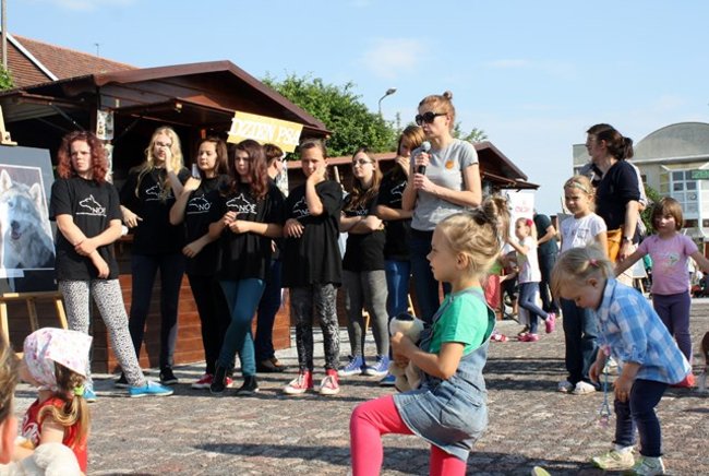 Rynek pełen czworonogów - zdjęcia