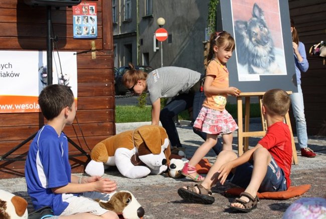 Rynek pełen czworonogów - zdjęcia