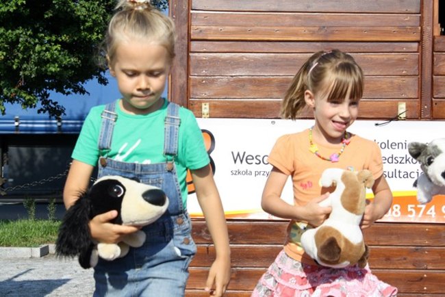 Rynek pełen czworonogów - zdjęcia