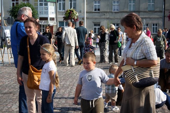 Rynek pełen czworonogów - zdjęcia