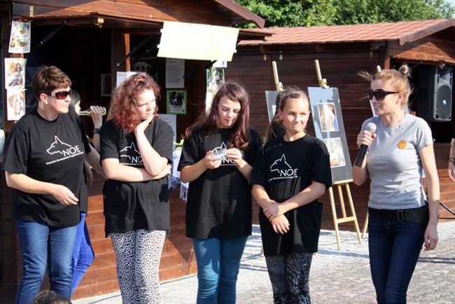 Rynek pełen czworonogów - zdjęcia