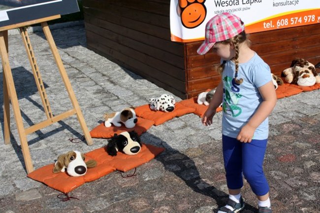 Rynek pełen czworonogów - zdjęcia