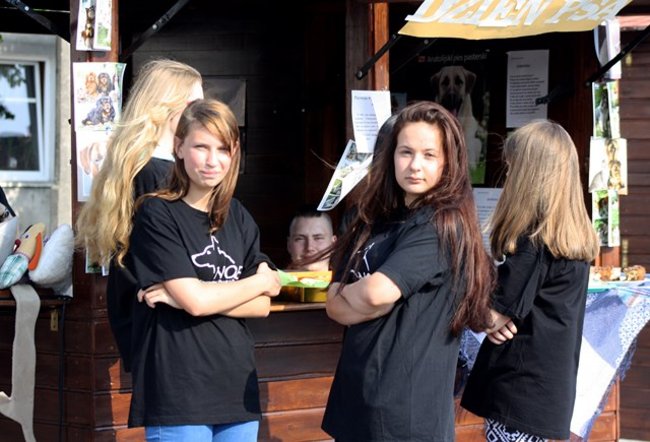 Rynek pełen czworonogów - zdjęcia