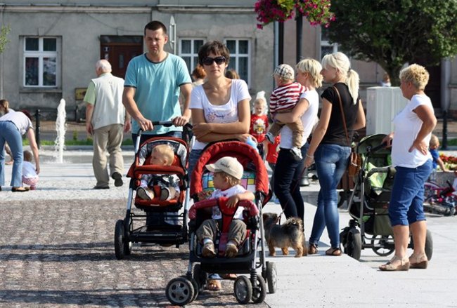 Rynek pełen czworonogów - zdjęcia