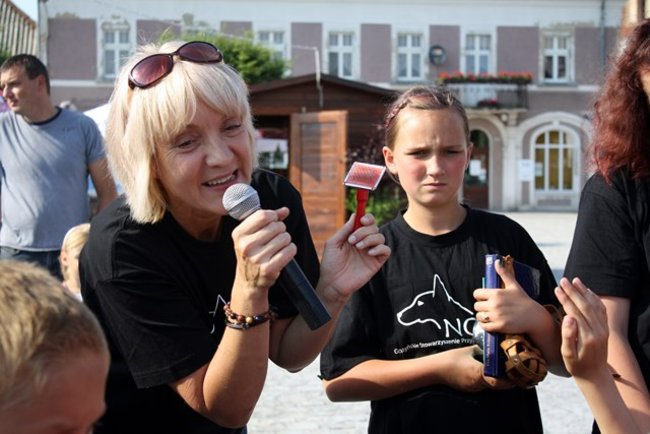 Rynek pełen czworonogów - zdjęcia