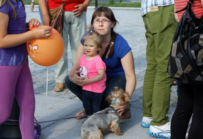 Rynek pełen czworonogów - zdjęcia