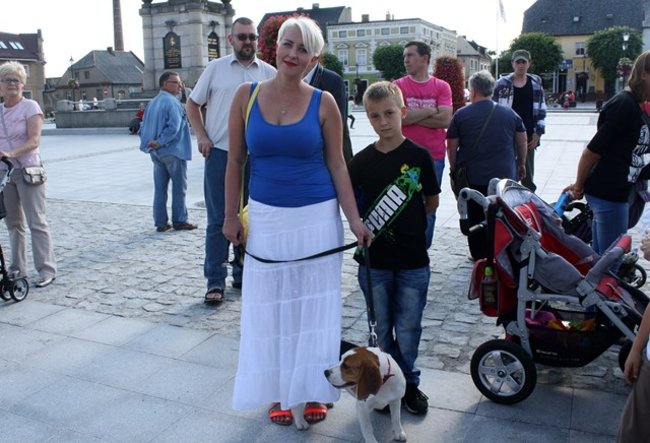 Rynek pełen czworonogów - zdjęcia