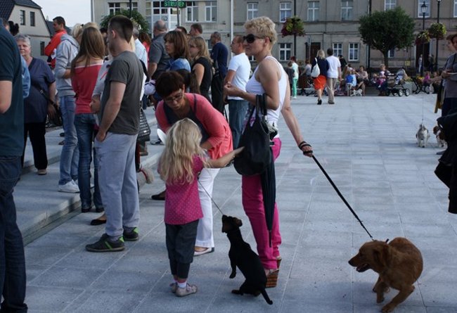 Rynek pełen czworonogów - zdjęcia