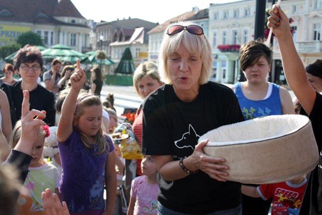 Rynek pełen czworonogów - zdjęcia