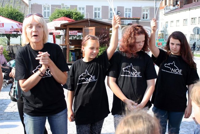 Rynek pełen czworonogów - zdjęcia