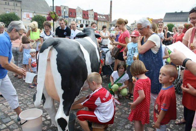 Mleczna zabawa na rynku - zdjęcia/film
