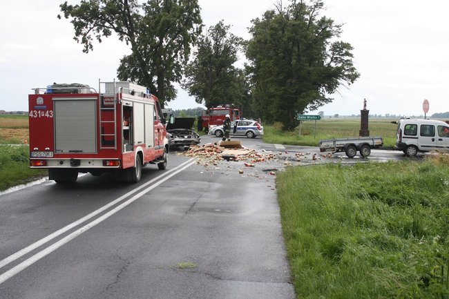 Tyle dobrego się zmarnowało - zdjęcia
