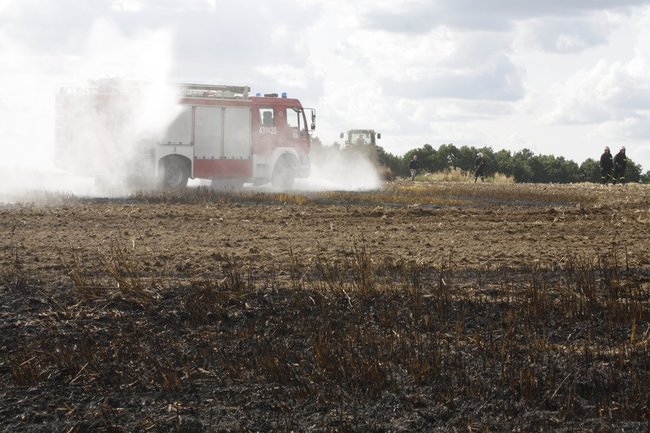  Groźny pożar w Daleszynie - zdjęcia