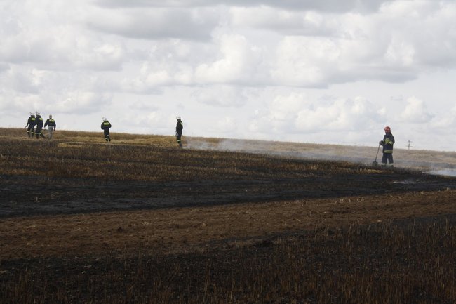  Groźny pożar w Daleszynie - zdjęcia