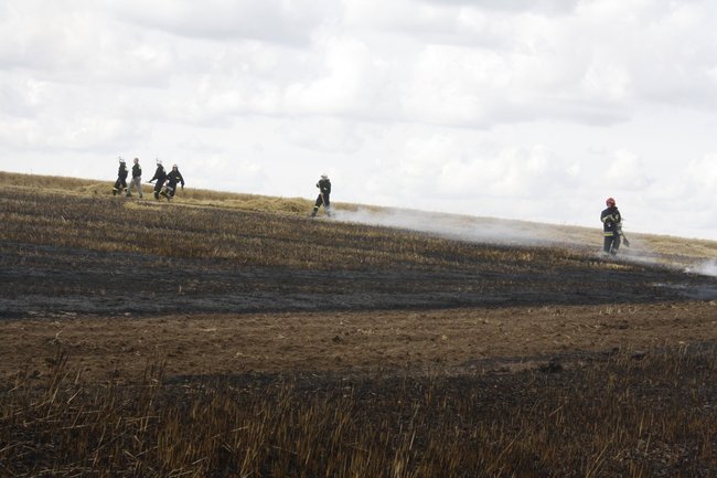  Groźny pożar w Daleszynie - zdjęcia