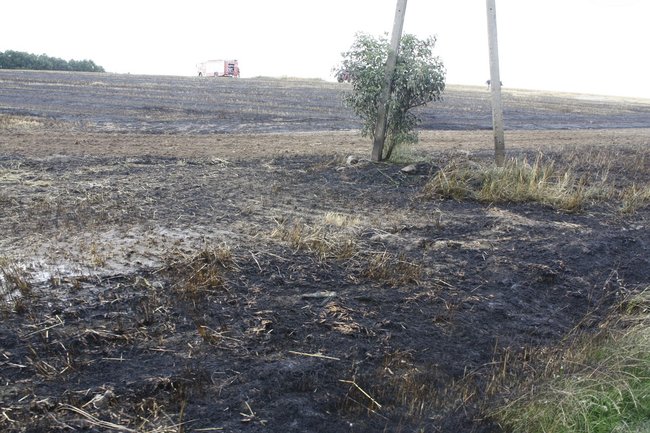  Groźny pożar w Daleszynie - zdjęcia