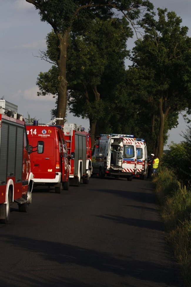 Wystarczyła chwila nieuwagi - zdjęcia