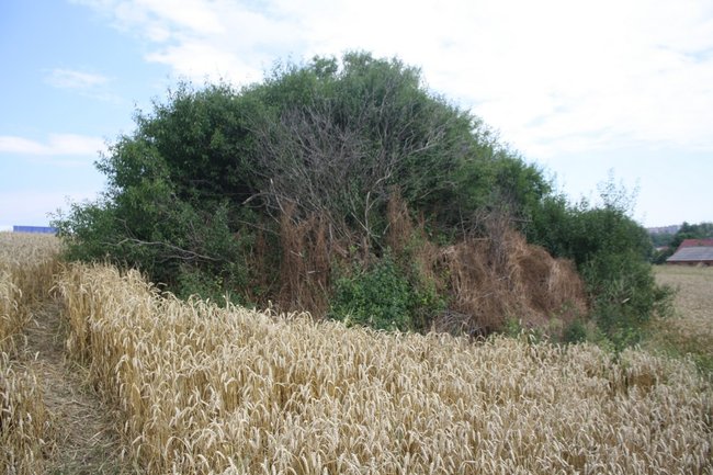 Teoria przegrywa z praktyką - zdjęcia