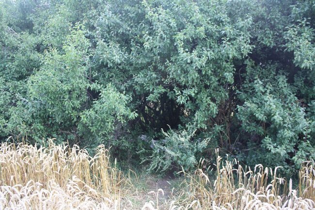 Teoria przegrywa z praktyką - zdjęcia