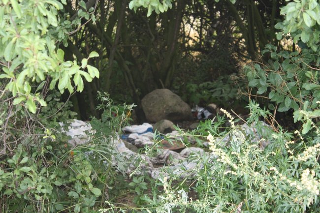 Teoria przegrywa z praktyką - zdjęcia