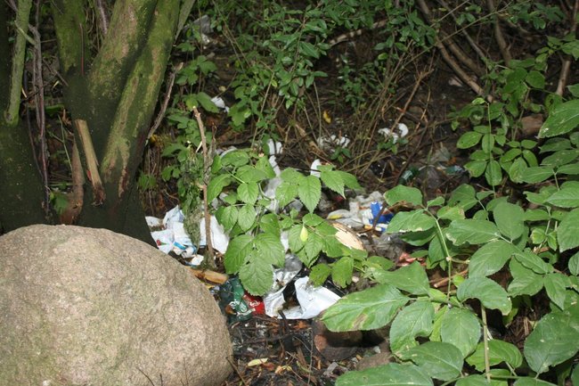 Teoria przegrywa z praktyką - zdjęcia