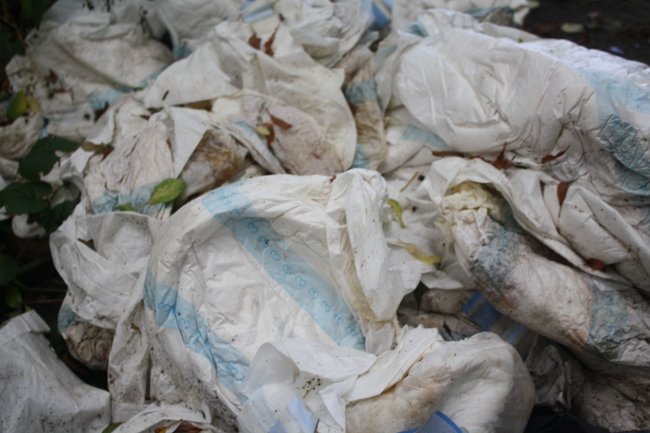 Teoria przegrywa z praktyką - zdjęcia