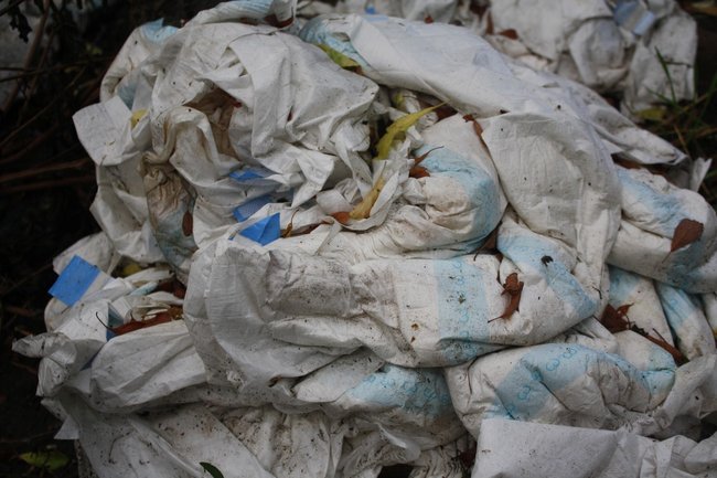 Teoria przegrywa z praktyką - zdjęcia