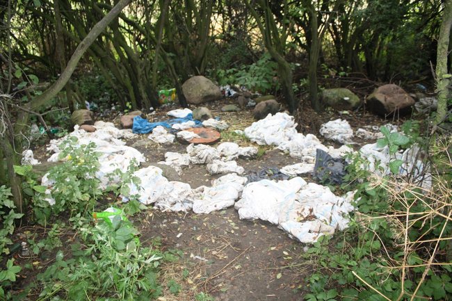 Teoria przegrywa z praktyką - zdjęcia